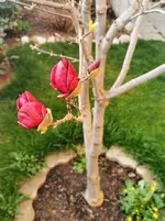 IMG_20220327_182554.webp
