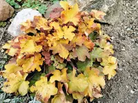 IMG_20220330_102800.webp