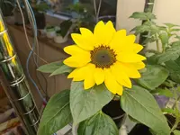 20220330_083000.webp