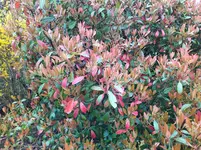 IMG_20220331_103155_1.webp