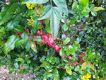 IMG_20220331_103216_1.jpg