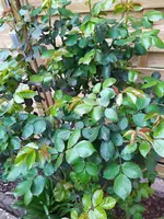 IMG_20220331_103523.webp