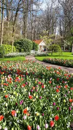 20190411_110033.webp