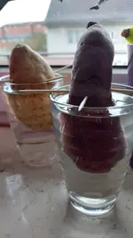 20220214_161319.webp 20220214_161319.webp