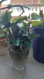 20220303_171240.webp 20220303_171240.webp