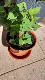 20220314_121955.webp 20220314_121955.webp