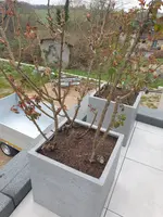 20220331_180037.webp