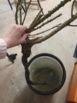 20220331_180124.jpg
