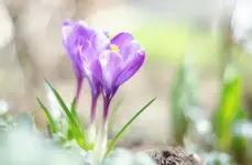 1648743083271.webp