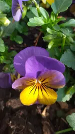 20220330_170348.webp