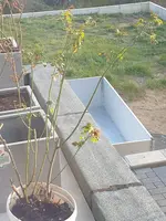20220329_183848.webp