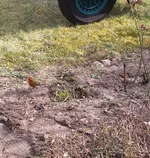 20220325_135719.webp