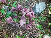 IMG_20220331_104038_1.webp
