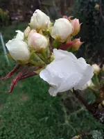 IMG_20220330_113917.webp