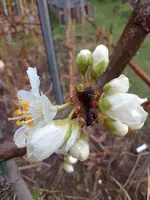 IMG_20220330_114022.webp