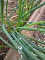 IMG_20220330_114619.webp