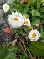 IMG_20220330_114357.webp