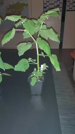 20220401_215127.webp
