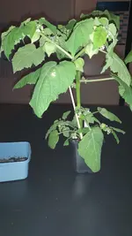 20220401_215138.webp