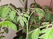 20220402_231815.webp