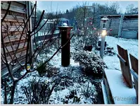Wintereinbruch 5.webp