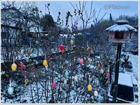 Wintereinbruch 4.webp