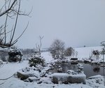 20220403_070923.jpg