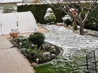 IMG_20220403_083054 (2).webp