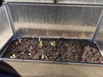 IMG_20220403_094521.jpg