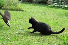 IMG_7018  v (2).webp