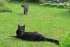 IMG_7019 v (2).webp