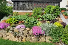 IMG_20210516_091010.webp