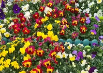 20220405_100412.webp