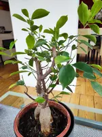 IMG_20220405_141151.webp