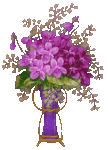 001.gif
