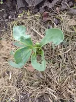 IMG_20220406_145528.webp