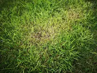 IMG_20220406_152525.webp