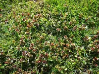 IMG_20220406_152631.webp