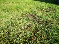 IMG_20220406_155412.webp