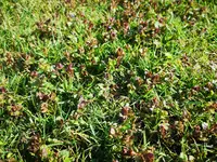 IMG_20220406_155417.webp