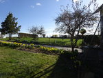 DSC02329.JPG