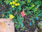 IMG_20220407_112025_1.jpg
