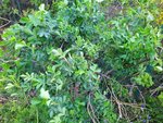 IMG_20220407_112051_1.jpg