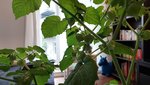 20220407_144936.jpg