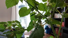 20220407_144936.webp