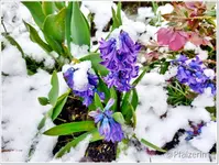 Osterwoche 2.webp