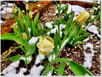 Osterwoche 4.webp