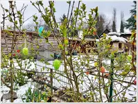 Osterwoche 5.webp
