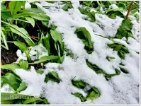 Osterwoche 6.webp