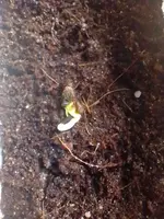 IMG_20220407_114649.webp IMG_20220407_114649.webp